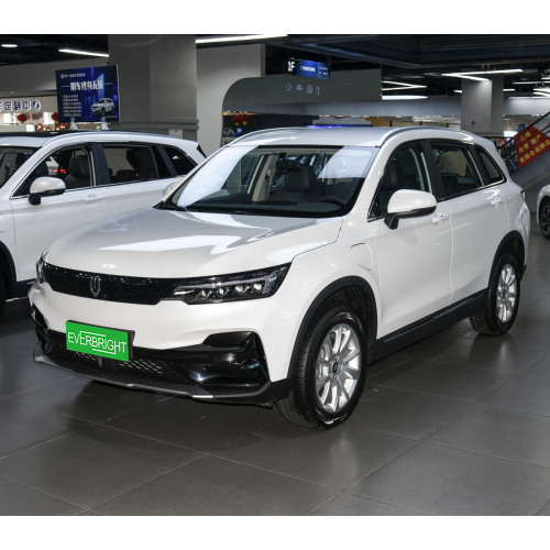 New Energy Vehicles Hotsale SUV Electric Car with Huge Space Skyworth EV 6 410km 12.8inch Touch Screen
